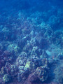 SD800_58120