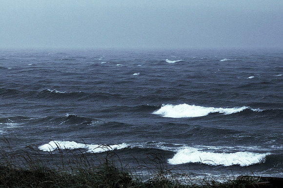 D300_89515
