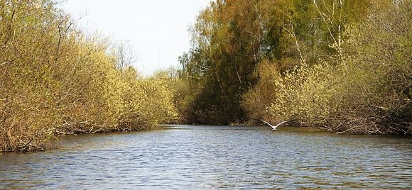 D300_71694