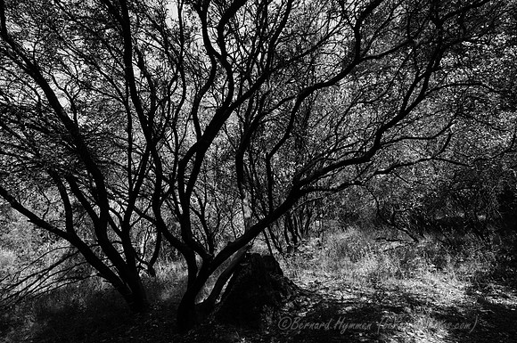 D300_32047