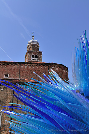 D300_44831.jpg