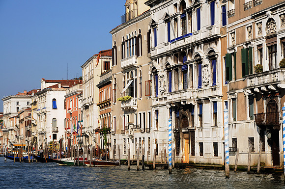 D300_45703.jpg