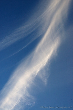 D70_01567