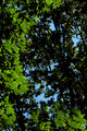 D70_030802004-07-23_01