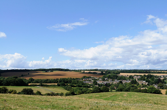 D300_99671