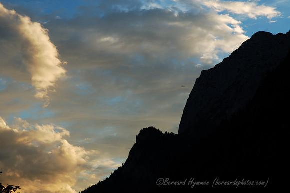 D70_18333