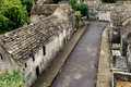 D300_100006