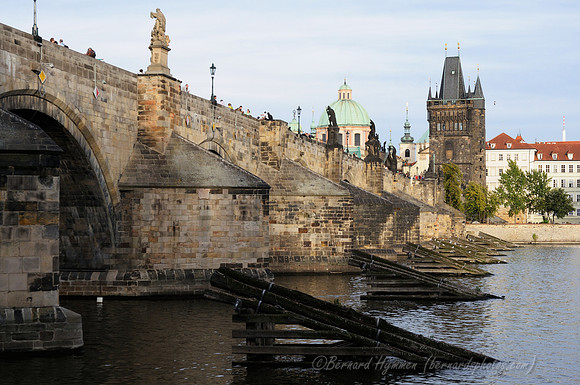D300_74188
