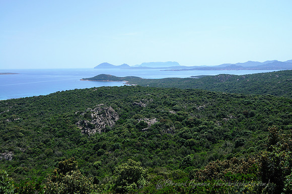 D300_45881.jpg