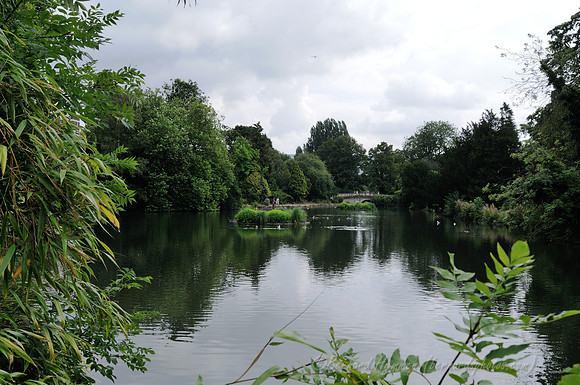 D300_98980