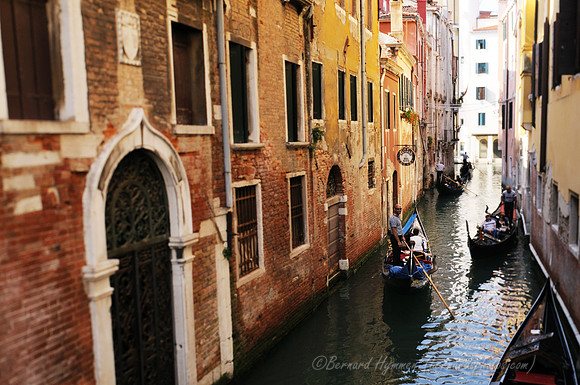 D300_44604.jpg