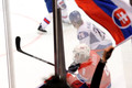 D300_52920.jpg