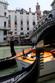 D300_44488.jpg