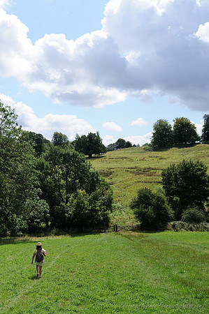 D300_99654