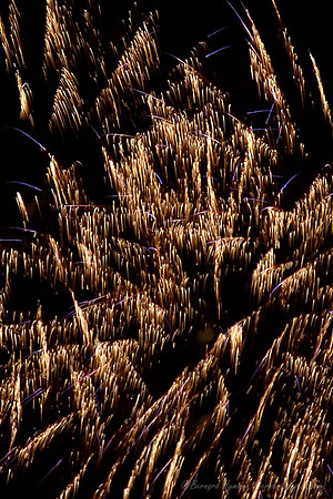 D70_01675_crop