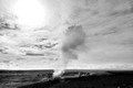 D300_92542