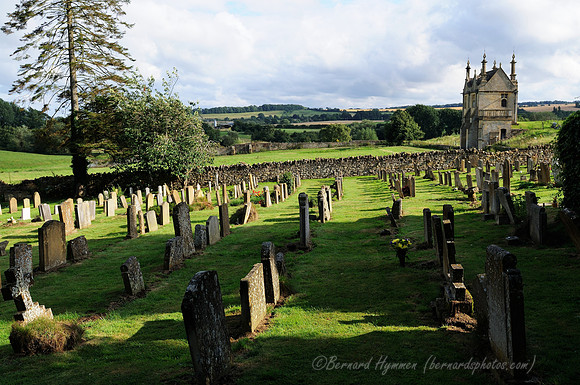 D300_99559