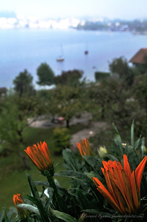 D300_73929