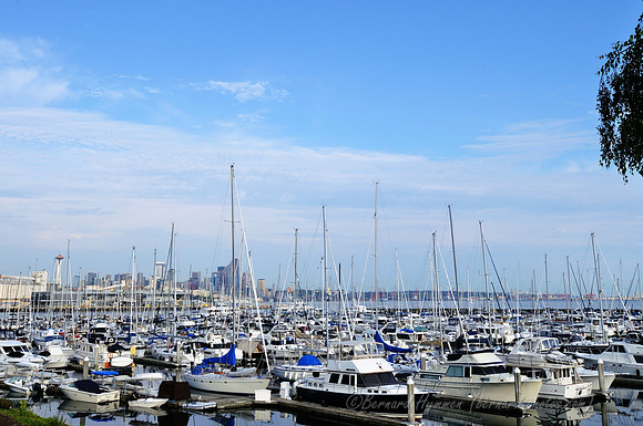 D300_72455