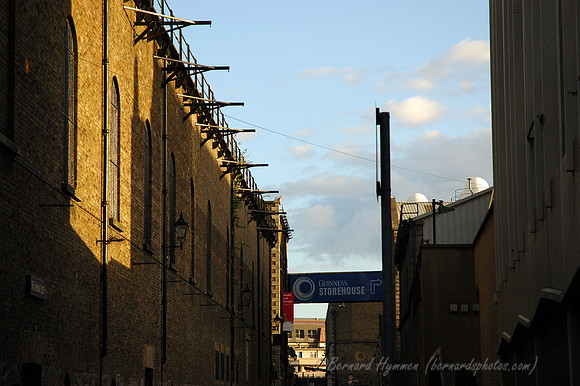 D70_052102004-08-20_01