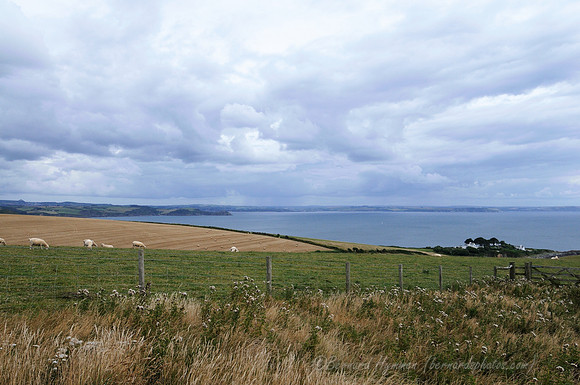 D300_100659