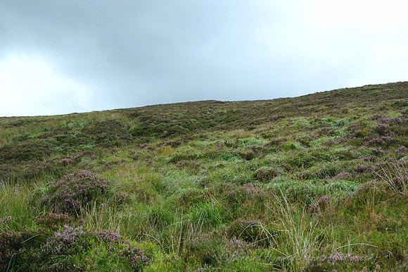 D70_054142004-08-21_01