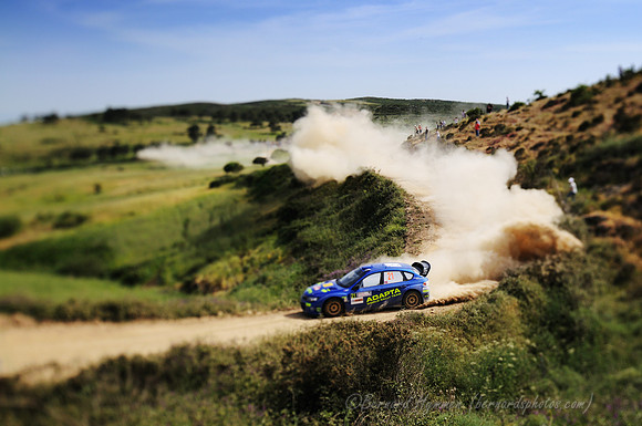 D300_46523.jpg