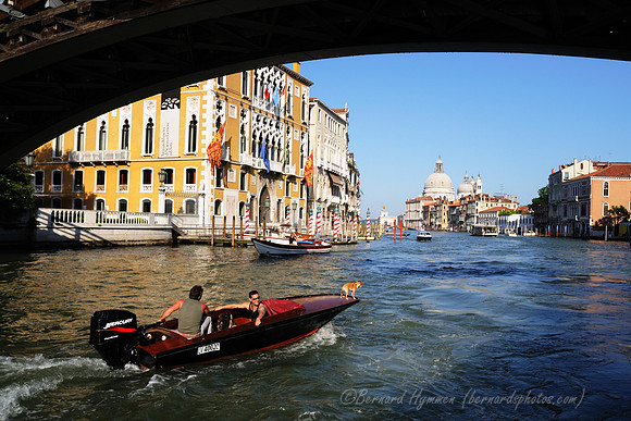 D300_45693.jpg