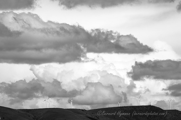 D300_96343