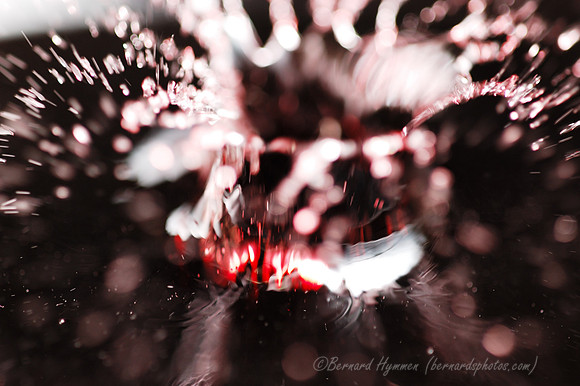 D70_20734