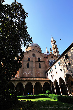 D300_47576.jpg