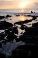 D300_92893