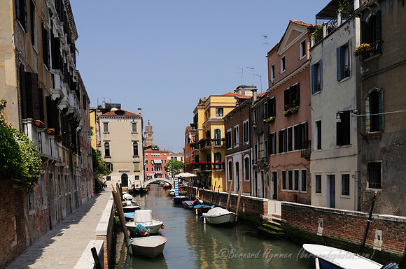 D300_45135.jpg