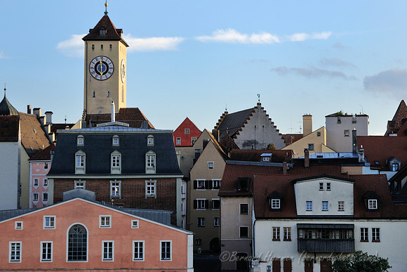 D300_75549