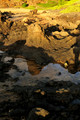 D300_58739