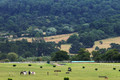 D300_98992