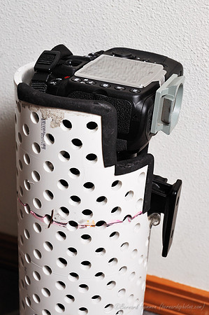 D70_31179