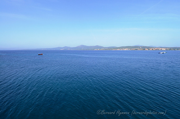 D300_46653.jpg