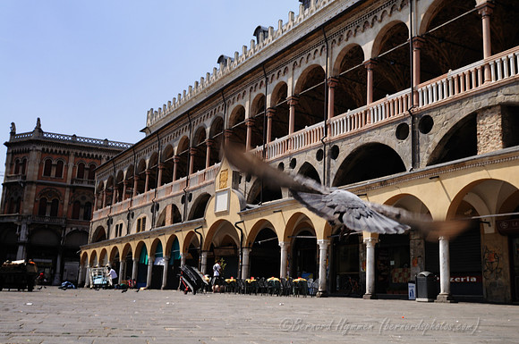 D300_47503.jpg