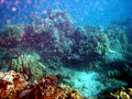 SD800_58589