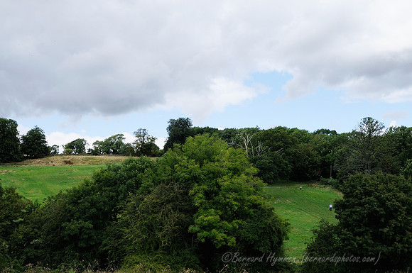 D300_99656