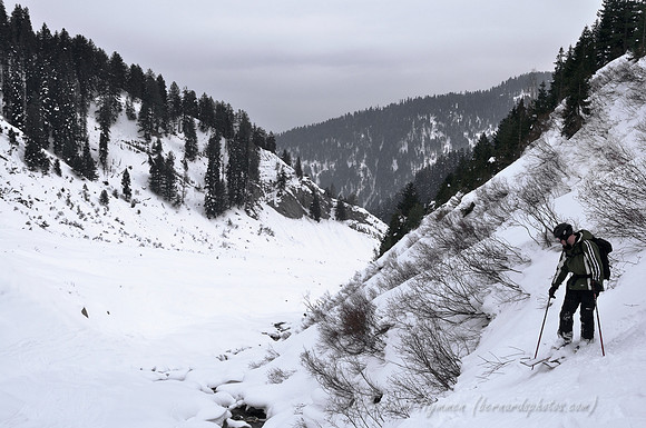 D300_69381
