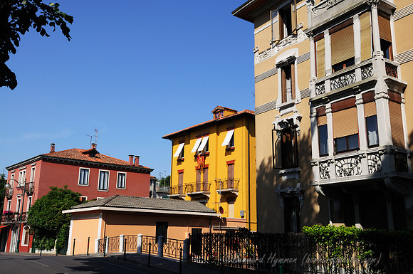 D300_45618.jpg