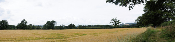 pano_D300_99742-99744
