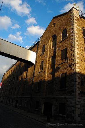 D70_052162004-08-20_01