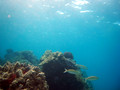 SD800_58239