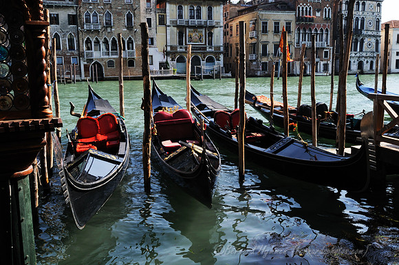 D300_44606.jpg