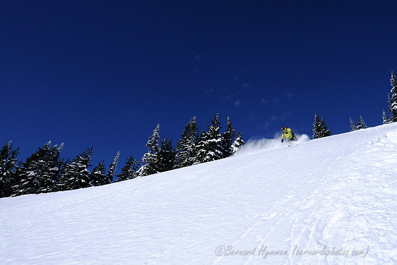 D300_59581