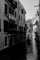 D300_44593.jpg