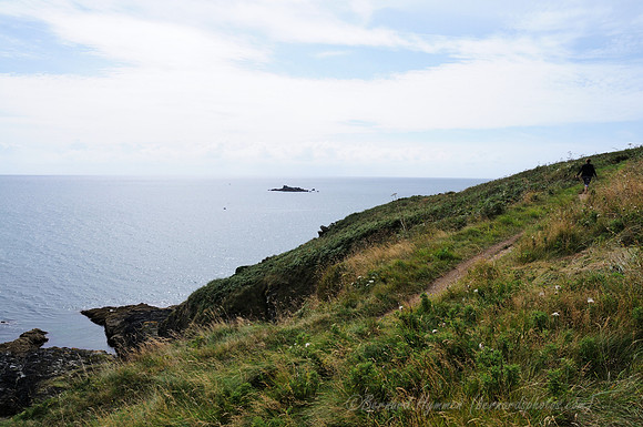 D300_100648